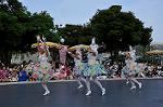 Dcim10197/DSC_4186
