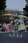 Dcim10198/DSC_4277