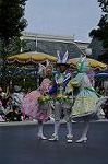 Dcim10198/DSC_4278
