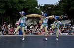 Dcim10198/DSC_4354