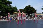 Dcim10201/DSC_4790