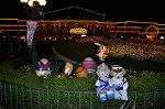 Dcim10210/DSC_6222