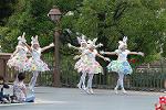 Dcim10211/DSC_4656