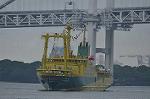 Dcim10212/DSC_6261