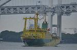 Dcim10212/DSC_6262