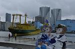 Dcim10212/DSC_6334