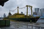 Dcim10213/DSC_6377