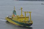 Dcim10213/DSC_6494