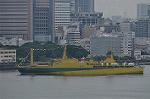 Dcim10217/DSC_6981