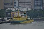Dcim10217/DSC_7012