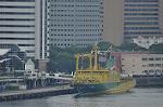 Dcim10217/DSC_7018