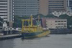 Dcim10217/DSC_7028