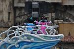 Dcim10221/DSC_7342