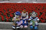 Dcim10222/DSC_7584