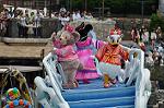 Dcim10238/DSC_9584
