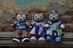 Dcim10241/DSC_0071