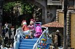 Dcim10242/DSC_0261