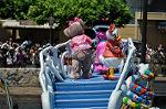 Dcim10243/DSC_0377