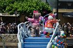 Dcim10243/DSC_0380