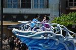 Dcim10245/DSC_0529