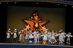 Dcim10254/DSC_1710