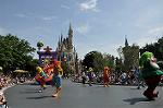 Dcim10254/DSC_1837