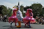 Dcim10255/DSC_1911