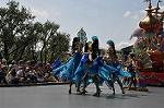 Dcim10256/DSC_2047
