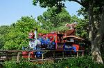 Dcim10258/DSC_2372