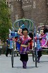 Dcim10267/DSC_4812