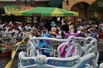 Dcim10277/DSC_5010