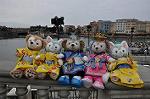 Dcim10278/DSC_5243