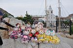 Dcim10281/DSC_5641