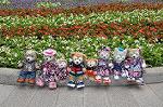 Dcim10293/DSC_7243