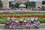 Dcim10293/DSC_7254