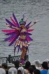 Dcim10295/DSC_7595