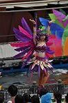 Dcim10299/DSC_7995