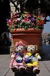 Dcim10307/DSC_8927