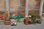 Dcim10307/DSC_8960