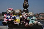 Dcim10310/DSC_9423