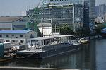 Dcim10319/DSC_0243