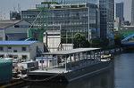 Dcim10319/DSC_0246