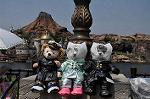 Dcim10319/DSC_0254