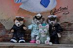 Dcim10321/DSC_0525