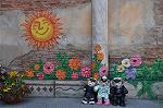 Dcim10321/DSC_0538