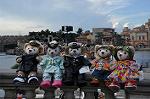 Dcim10323/DSC_0815