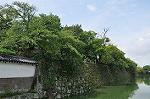 Dcim10327/DSC_1269