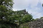Dcim10327/DSC_1295