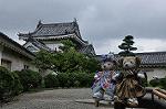 Dcim10328/DSC_1340