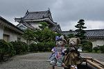 Dcim10328/DSC_1345
